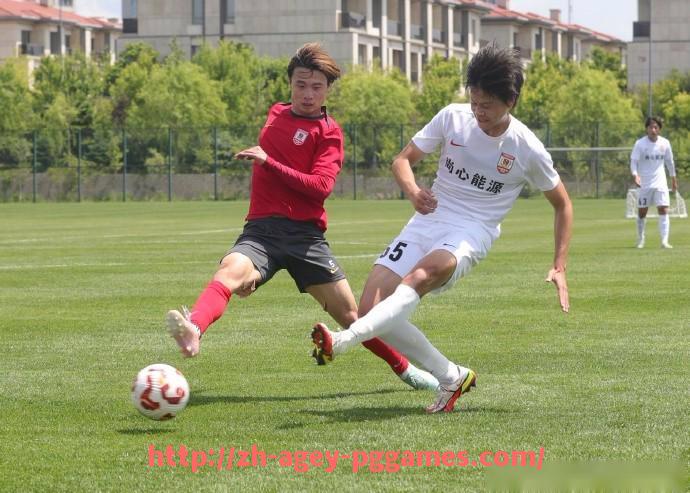 pg电子在线下载-法甲比赛文化及其对球迷参与度的影响